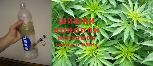 крисы Алексин