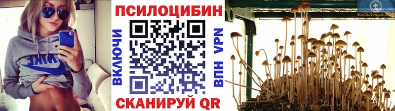 Псилоцибиновые грибы мицелий  купить  цена  Ветлуга 
